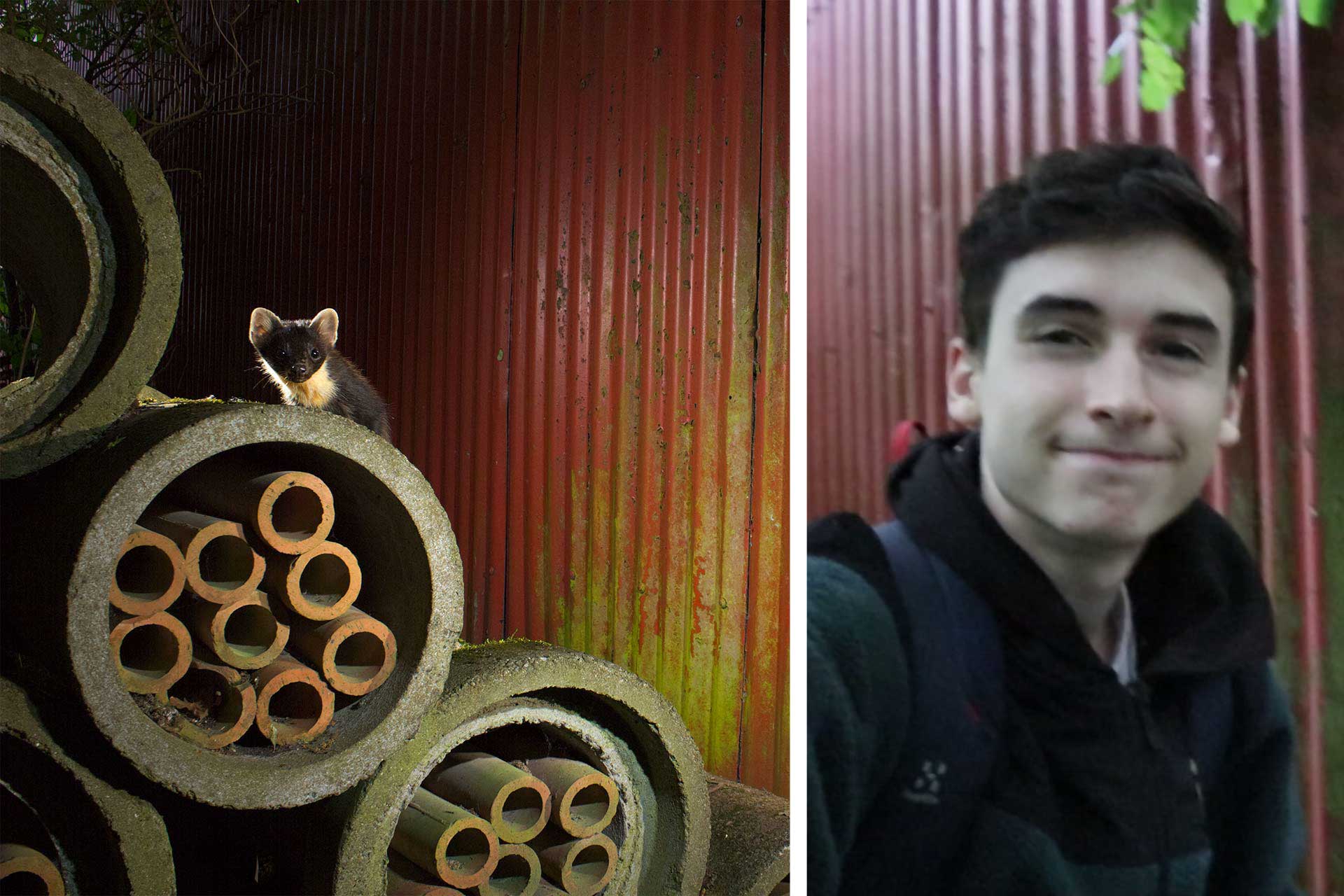 17-årige Denat Lahi fotar skogsmårdar i industrimiljöer