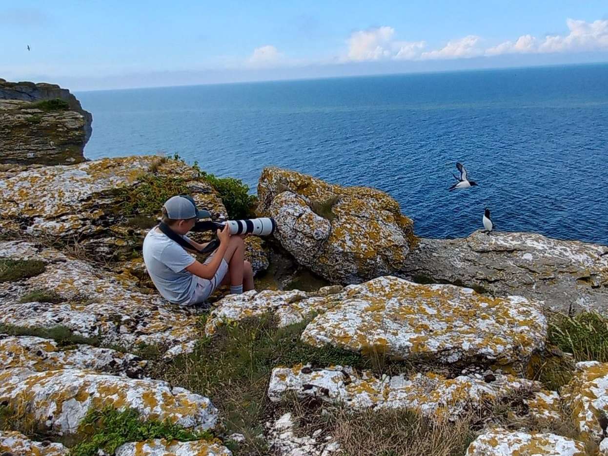 © Albin Nordlund. Sveriges Unga Naturfotografer.