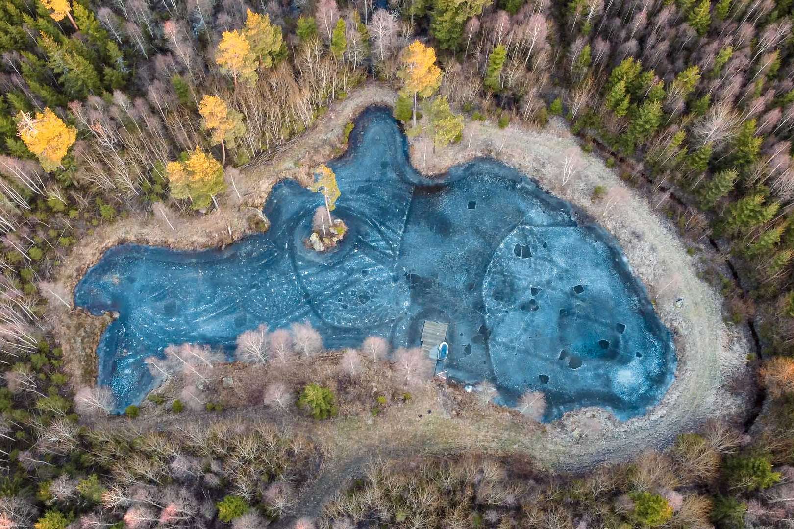 © Gabriel Emanuelsson. Sveriges Unga Naturfotografer.