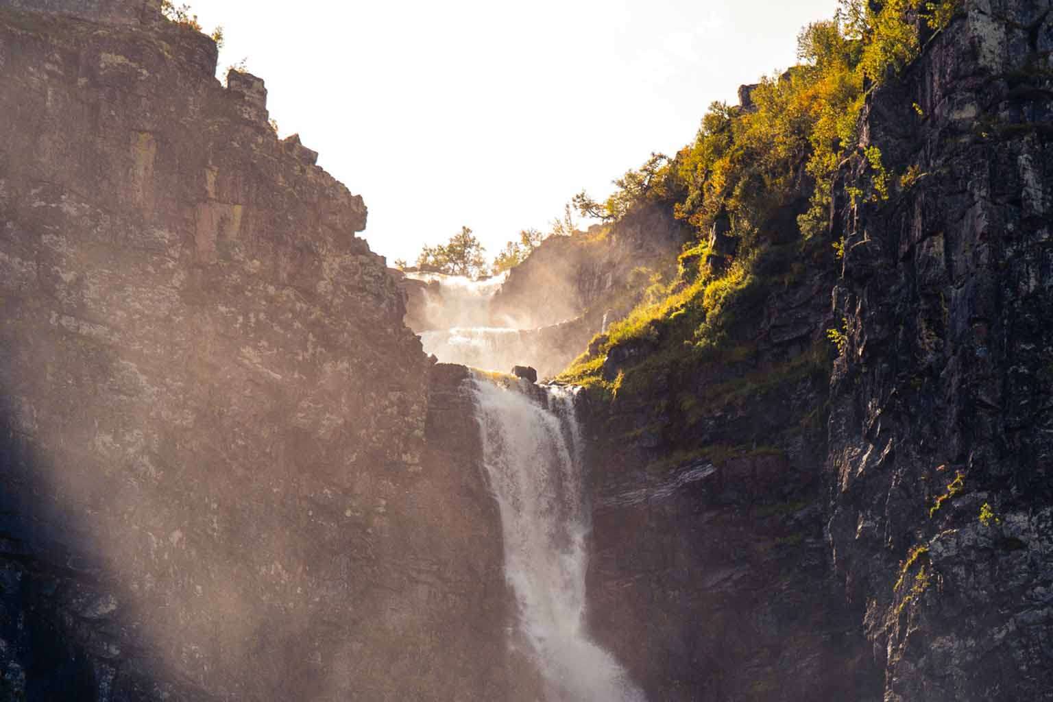 © Ludvig Palerius. Sveriges Unga Naturfotografer.