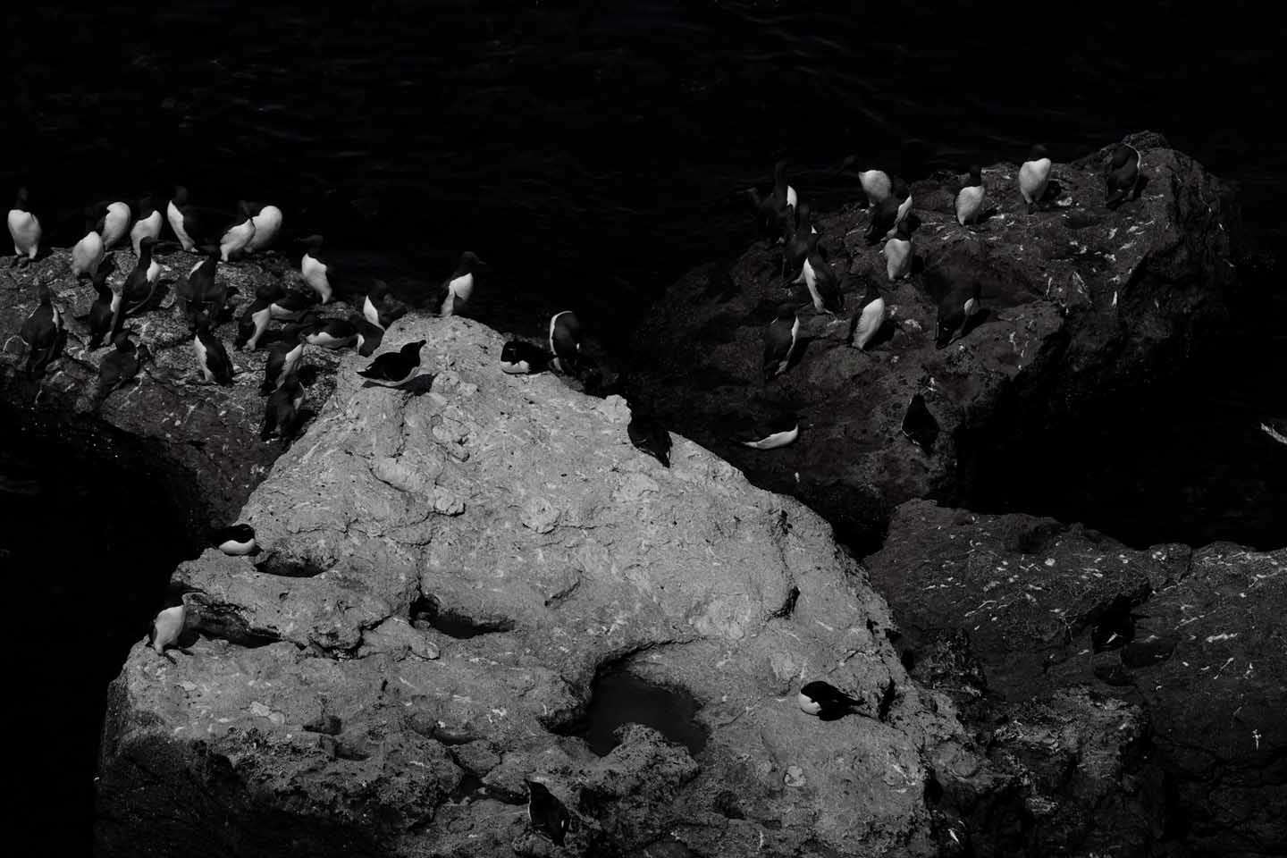 © Hugo Isaksson. Sveriges Unga Naturfotografer.
