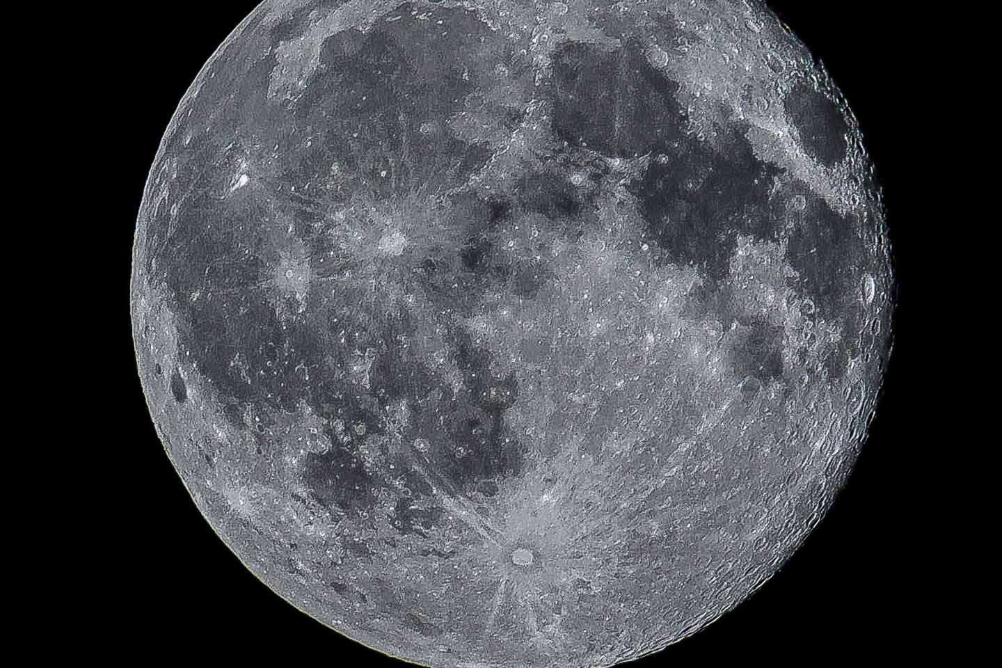 © Azad Saat. Sveriges Unga Naturfotografer.