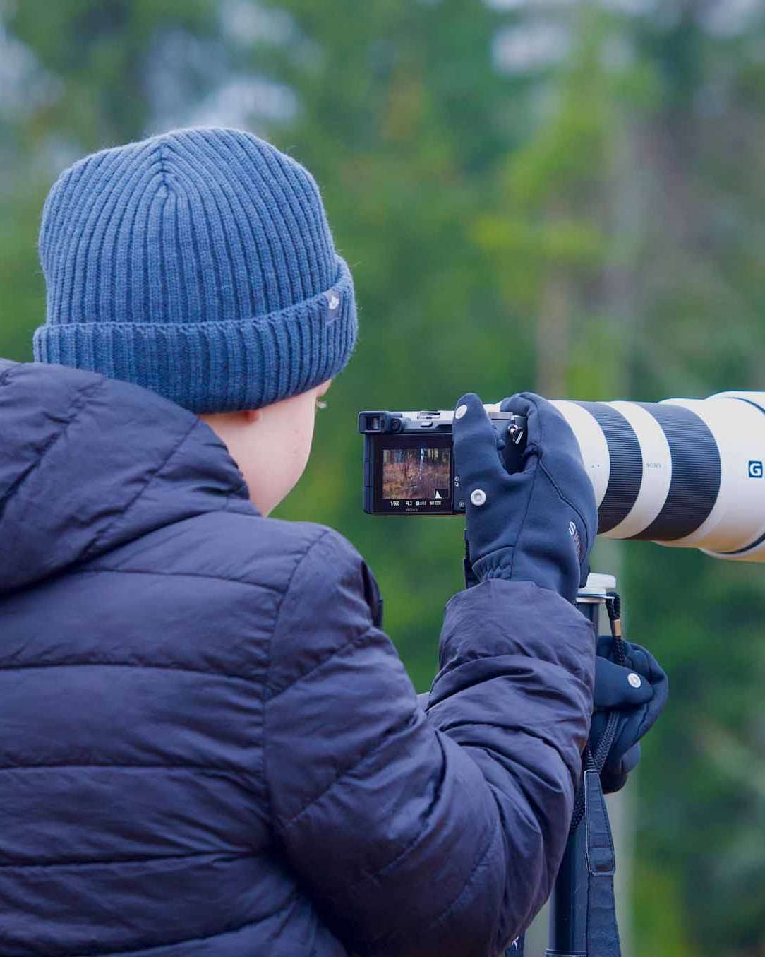 © Bo Embring Mirstam. Sveriges Unga Naturfotografer.