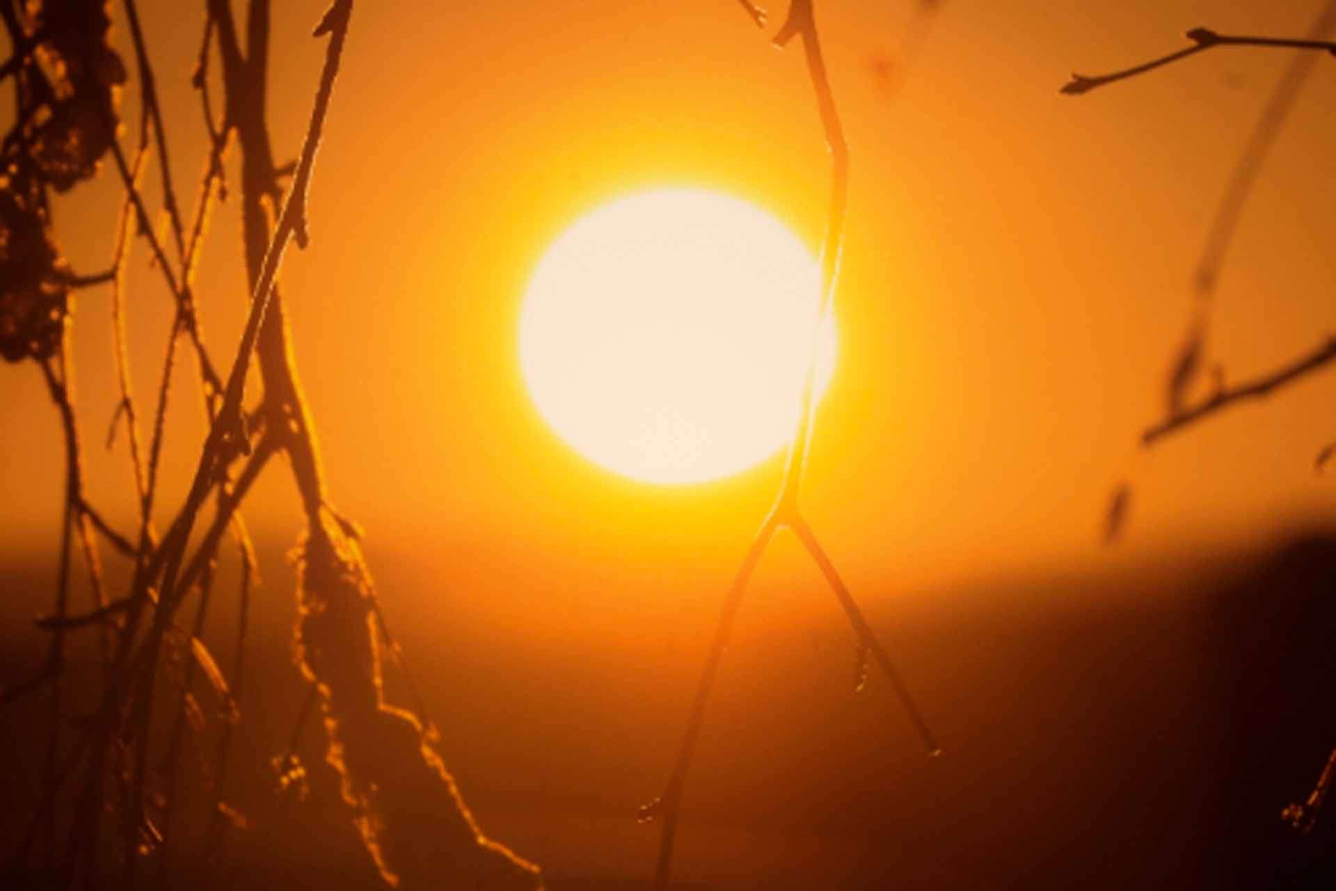 © Ivar Bryngelsson. Sveriges Unga Naturfotografer.