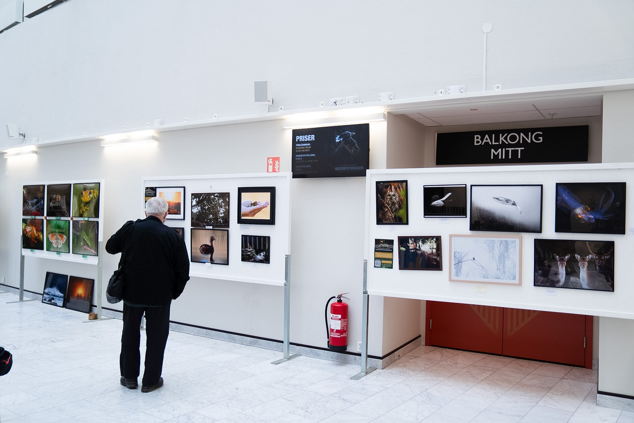 © Theodore Somnim Wallman. Sveriges Unga Naturfotografer.