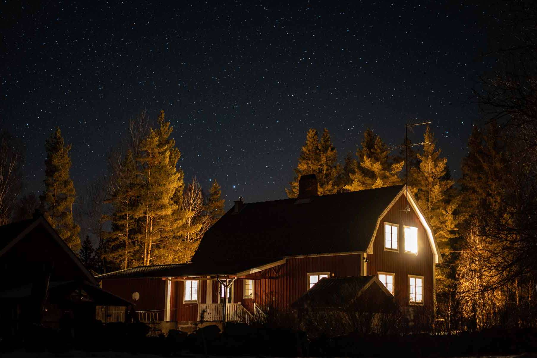 © Noah Bargisen. Sveriges Unga Naturfotografer.
