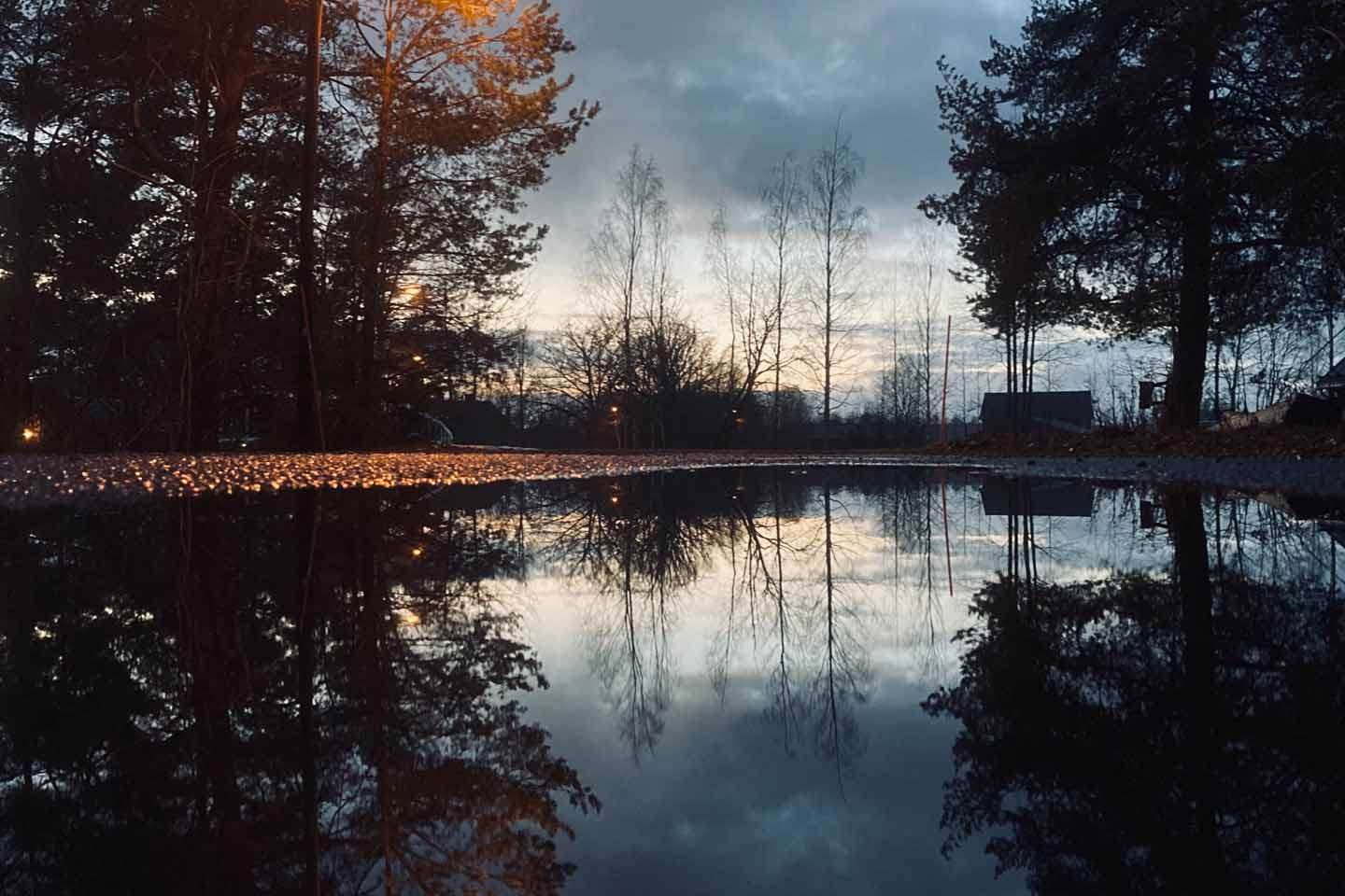 © Ziggy Ohlström. Sveriges Unga Naturfotografer.