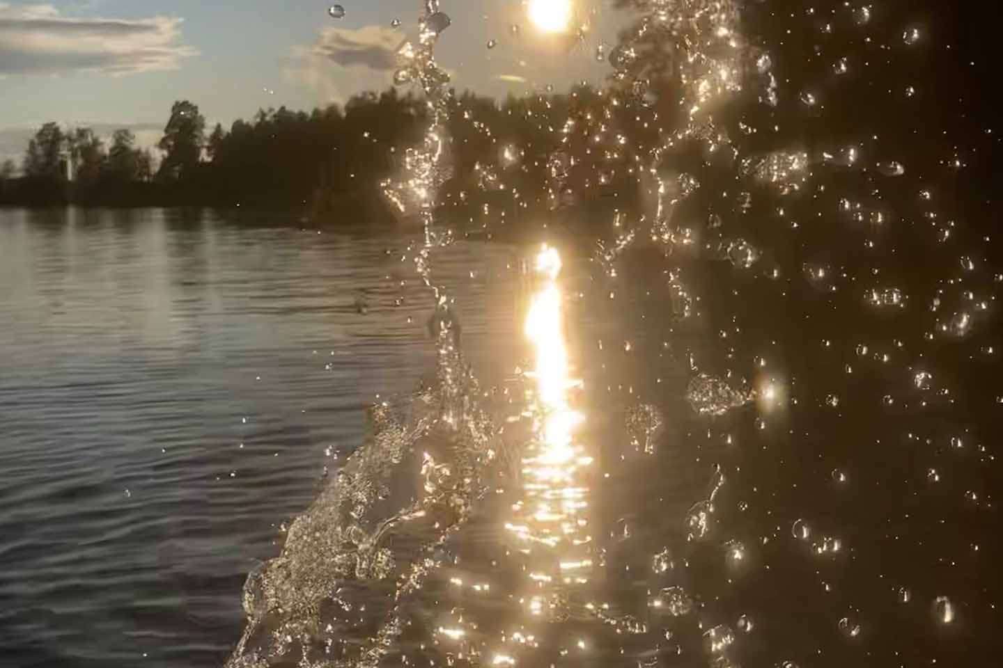 © Ziggy Ohlström. Sveriges Unga Naturfotografer.