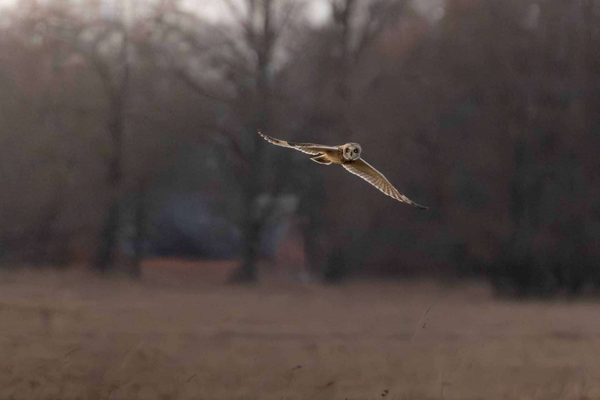 © Maja Bialy. Sveriges Unga Naturfotografer.