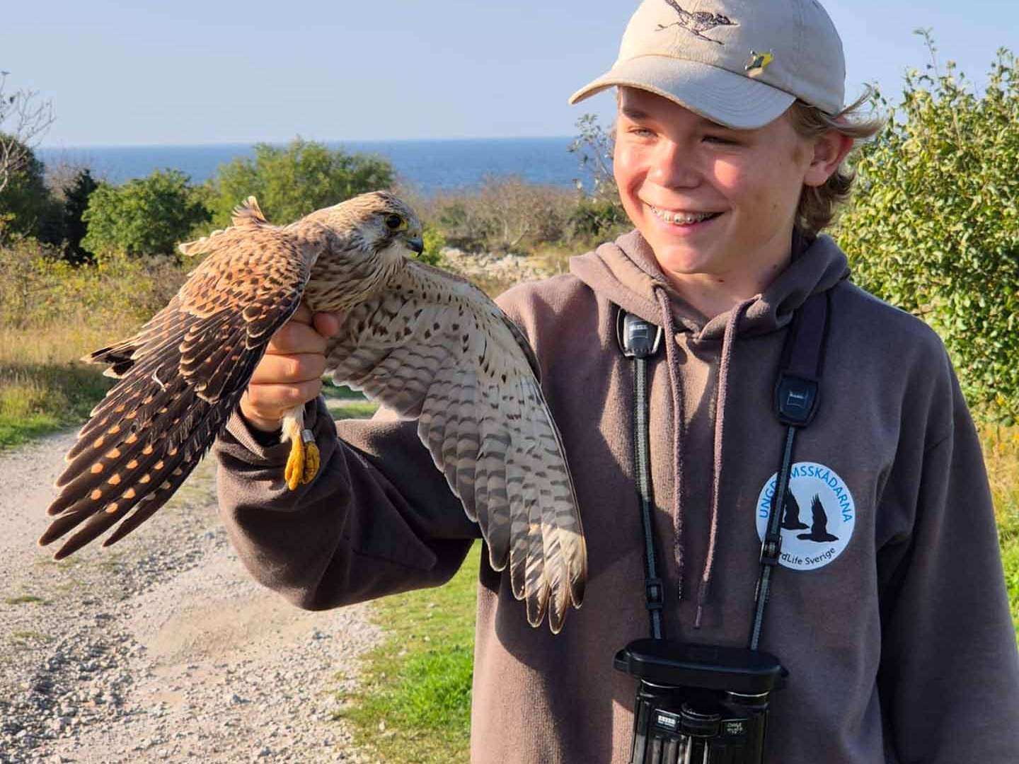 © Brian Löfkvist. Sveriges Unga Naturfotografer.