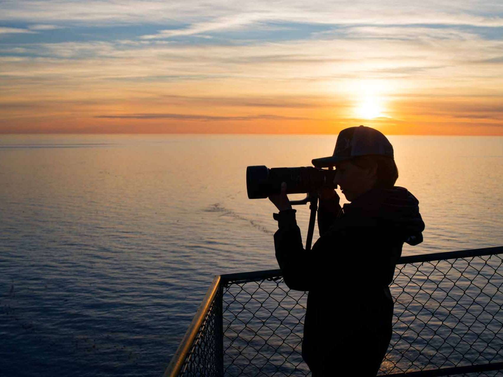 © Albin Nordlund. Sveriges Unga Naturfotografer.