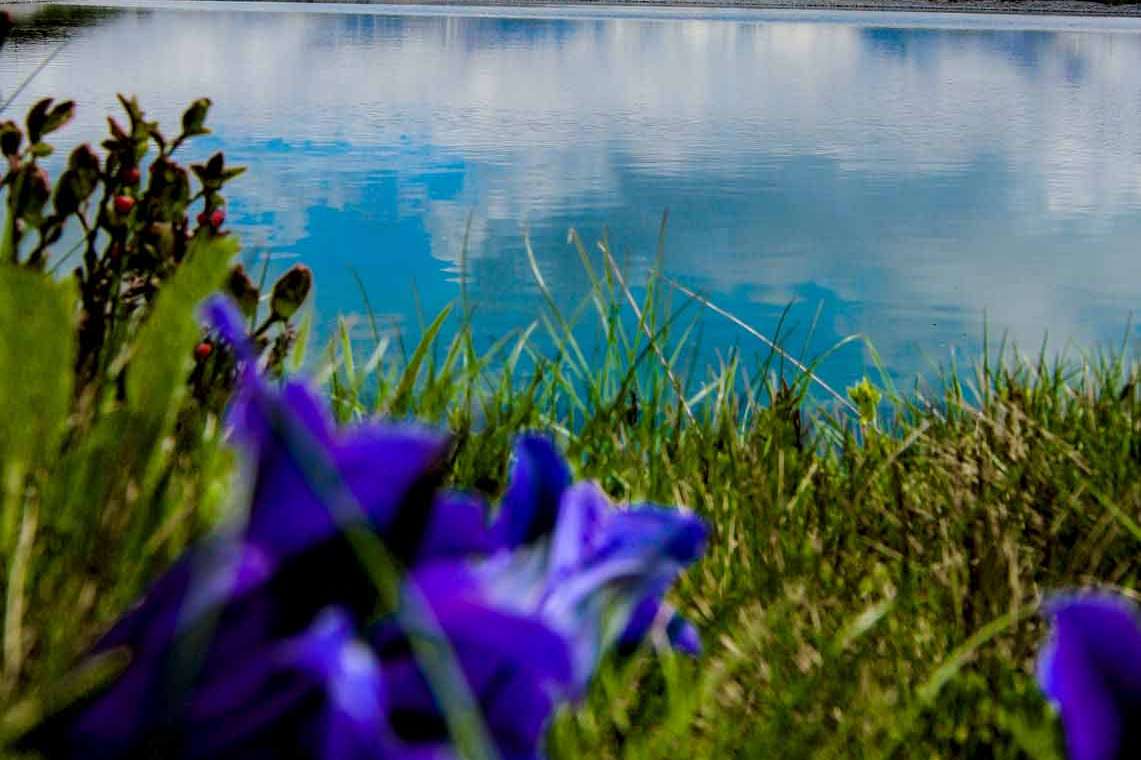 © Albin Lindell. Sveriges Unga Naturfotografer.