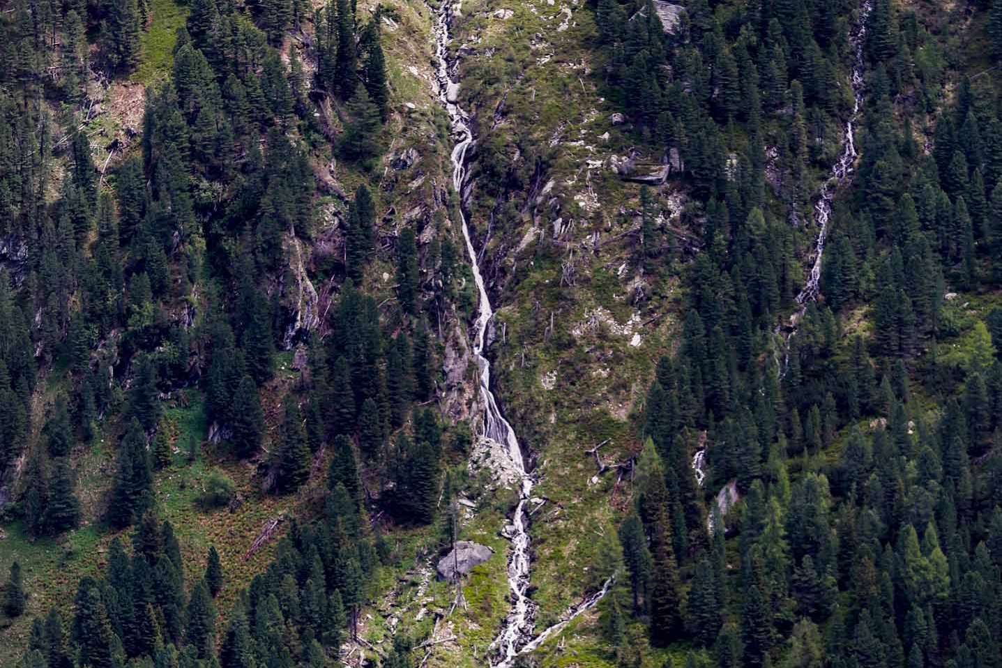 © Albin Lindell. Sveriges Unga Naturfotografer.
